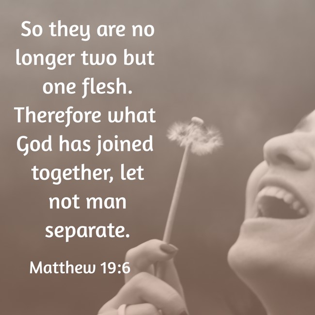 So they are no longer two but one flesh. Therefore what God has joined together, let not man separate. - Matthew 19:6