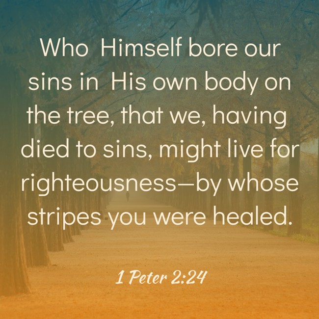  Who Himself bore our sins in His own body on the tree, that we, having died to sins, might live for righteousness—by whose stripes you were healed.   - 1 Peter 2:24 