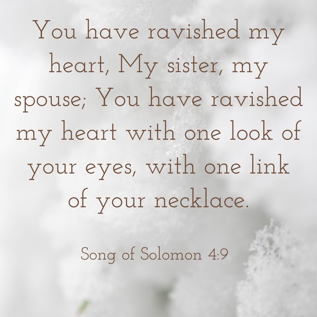 You have ravished my heart, My sister, my spouse; You have ravished my heart with one look of your eyes, with one link of your necklace. - Song of Solomon 4:9