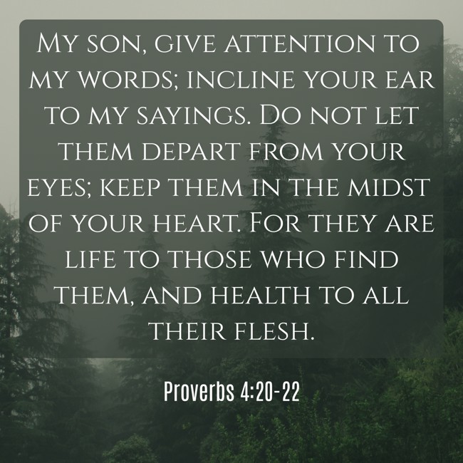  My son, give attention to my words; incline your ear to my sayings. Do not let them depart from your eyes; keep them in the midst of your heart. For they are life to those who find them, and health to all their flesh.   - Proverbs 4:20-22 