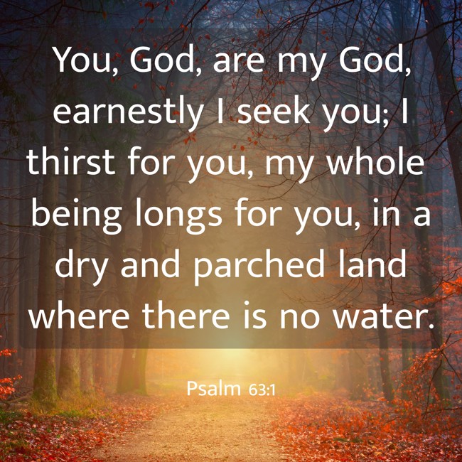 You, God, are my God, earnestly I seek you; I thirst for you, my whole being longs for you, in a dry and parched land where there is no water. - Psalm 63:1