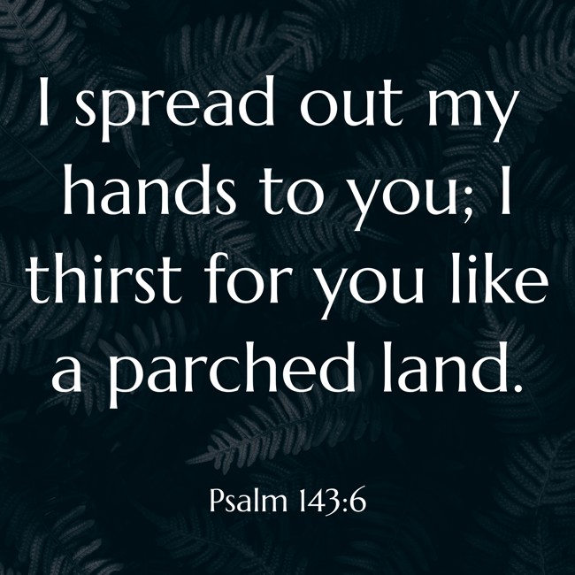 I spread out my hands to you; I thirst for you like a parched land. - Psalm 143:6