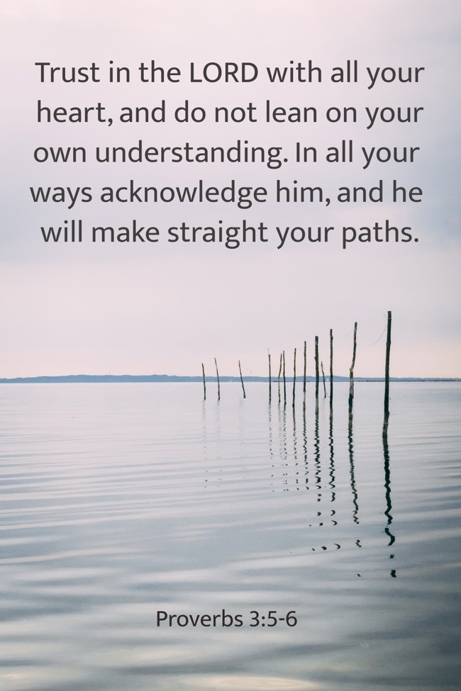 Trust in the LORD with all your heart, and do not lean on your own understanding. In all your ways acknowledge him, and he will make straight your paths. - Proverbs 3:5-6
