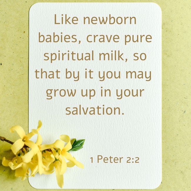 Like newborn babies, crave pure spiritual milk, so that by it you may grow up in your salvation. - 1 Peter 2:2