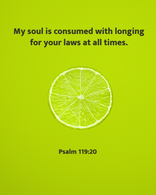 My soul is consumed with longing for your laws at all times. - Psalm 119:20