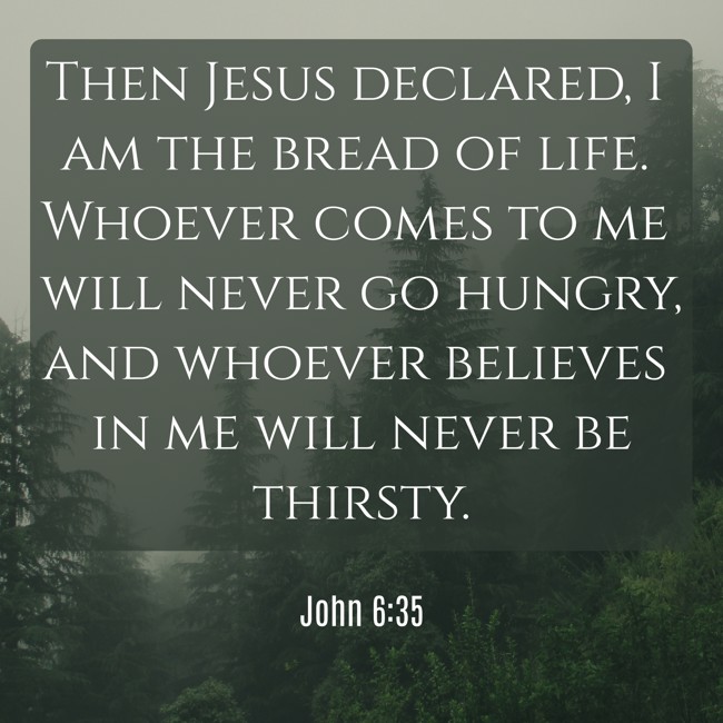 Then Jesus declared, I am the bread of life. Whoever comes to me will never go hungry, and whoever believes in me will never be thirsty. - John 6:35