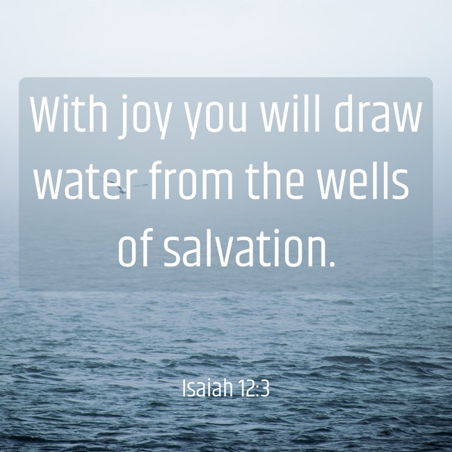 With joy you will draw water from the wells of salvation. - Isaiah 12:3