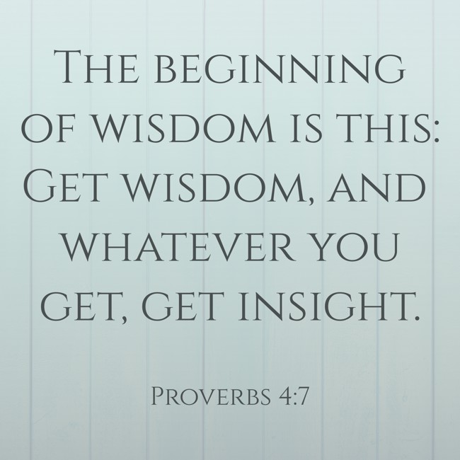 The beginning of wisdom is this: Get wisdom, and whatever you get, get insight. - Proverbs 4:7