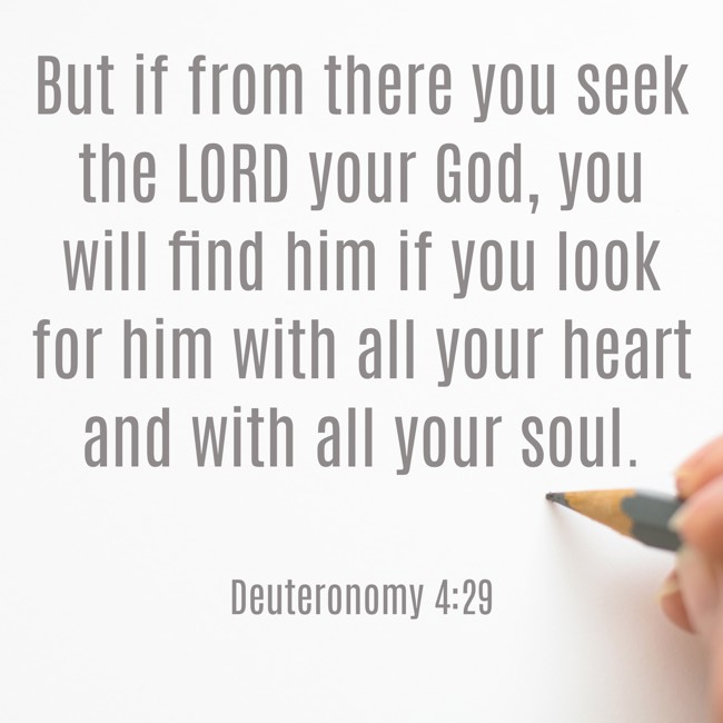 But if from there you seek the LORD your God, you will find him if you look for him with all your heart and with all your soul. - Deuteronomy 4:29