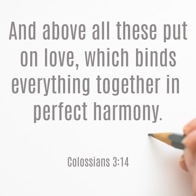 And above all these put on love, which binds everything together in perfect harmony. - Colossians 3:14