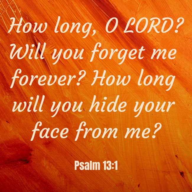 How long, O LORD? Will you forget me forever? How long will you hide your face from me? - Psalm 13:1