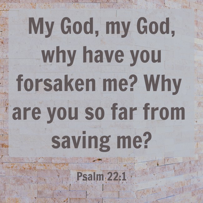My God, my God, why have you forsaken me? Why are you so far from saving me? - Psalm 22:1