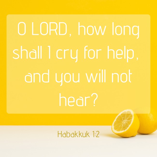 O LORD, how long shall I cry for help, and you will not hear? - Habakkuk 1:2