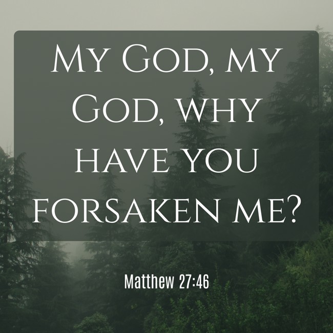 My God, my God, why have you forsaken me? - Matthew 27:46