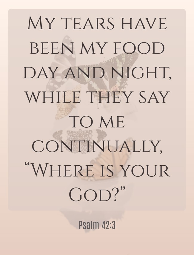 My tears have been my food day and night, while they say to me continually, “Where is your God?” - Psalm 42:3