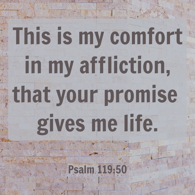 This is my comfort in my affliction, that your promise gives me life. - Psalm 119:50