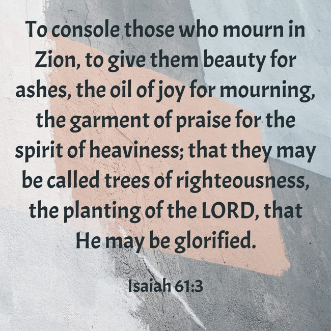  To console those who mourn in Zion, to give them beauty for ashes, the oil of joy for mourning, the garment of praise for the spirit of heaviness; that they may be called trees of righteousness, the planting of the LORD, that He may be glorified.   - Isaiah 61:3 