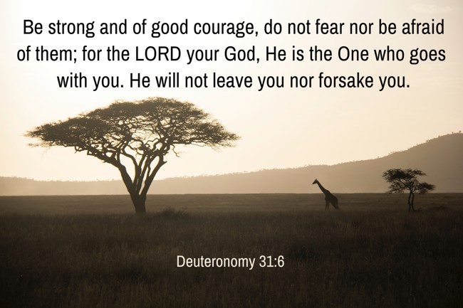  Be strong and of good courage, do not fear nor be afraid of them; for the LORD your God, He is the One who goes with you. He will not leave you nor forsake you.   - Deuteronomy 31:6 