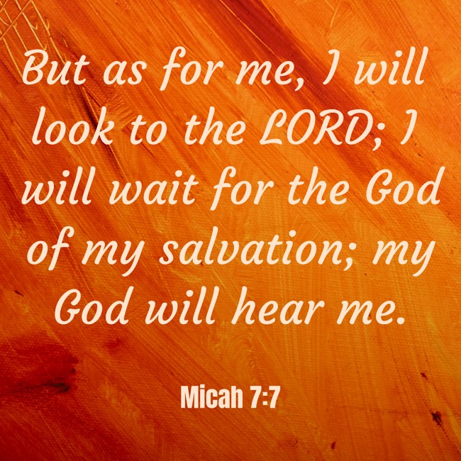 But as for me, I will look to the LORD; I will wait for the God of my salvation; my God will hear me. - Micah 7:7