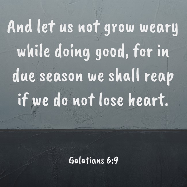  And let us not grow weary while doing good, for in due season we shall reap if we do not lose heart.   - Galatians 6:9 