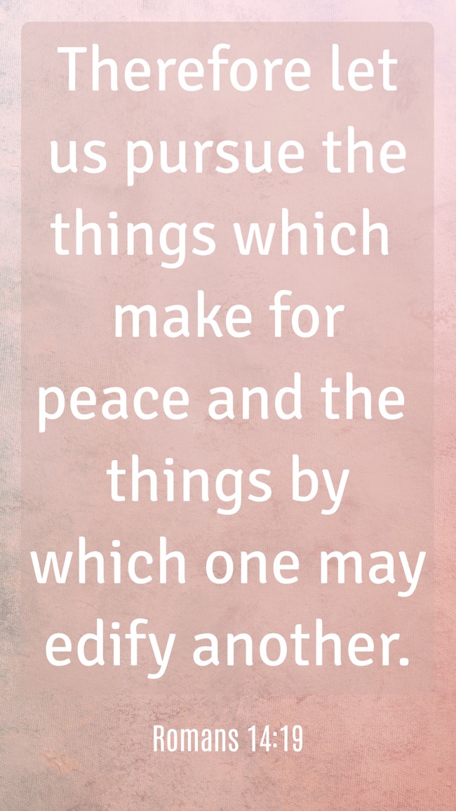 Therefore let us pursue the things which make for peace and the things by which one may edify another. - Romans 14:19