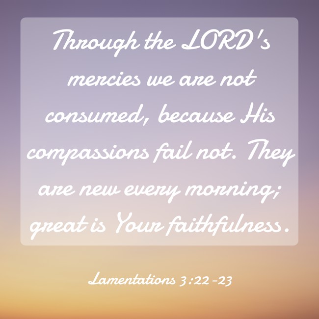 Through the LORD's mercies we are not consumed, because His compassions fail not. They are new every morning; great is Your faithfulness. - Lamentations 3:22-23