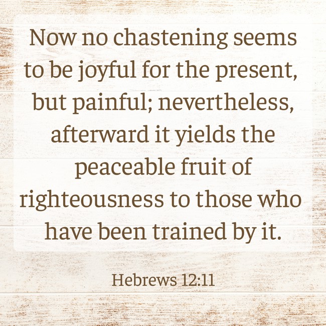 Now no chastening seems to be joyful for the present, but painful; nevertheless, afterward it yields the peaceable fruit of righteousness to those who have been trained by it. - Hebrews 12:11