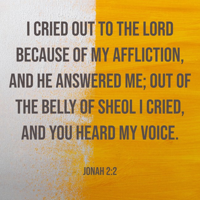 I cried out to the LORD because of my affliction, and He answered me; out of the belly of Sheol I cried, and You heard my voice. - Jonah 2:2