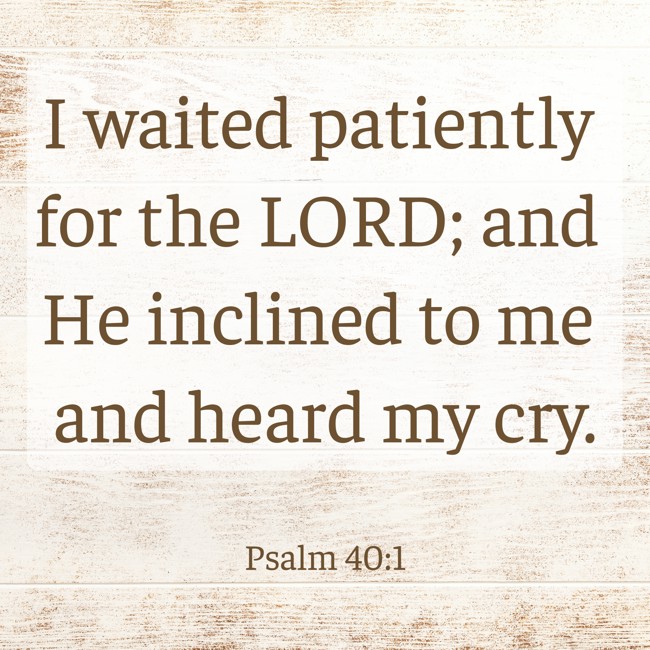 I waited patiently for the LORD; and He inclined to me and heard my cry. - Psalm 40:1