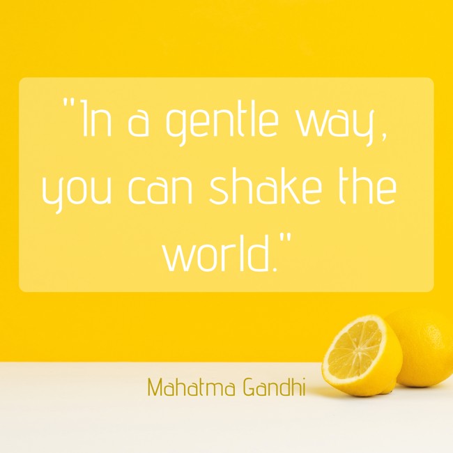 In a gentle way, you can shake the world. - Mahatma Gandhi