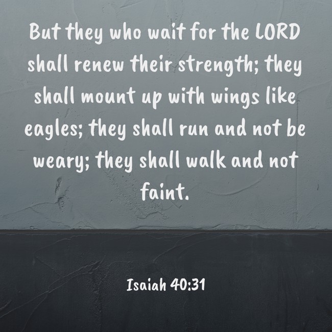  But they who wait for the LORD shall renew their strength; they shall mount up with wings like eagles; they shall run and not be weary; they shall walk and not faint.   - Isaiah 40:31 