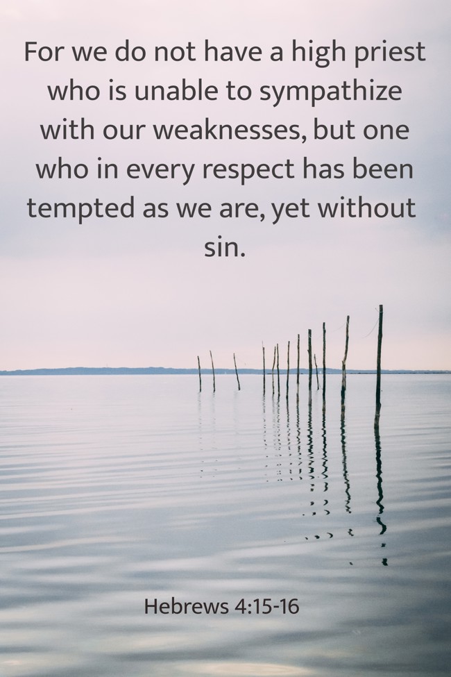  For we do not have a high priest who is unable to sympathize with our weaknesses, but one who in every respect has been tempted as we are, yet without sin.   - Hebrews 4:15-16 