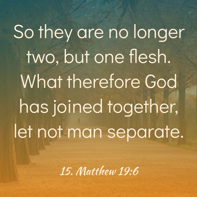So they are no longer two, but one flesh. What therefore God has joined together, let not man separate. - 15. Matthew 19:6