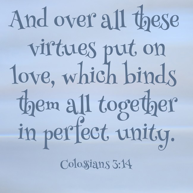 And over all these virtues put on love, which binds them all together in perfect unity. - Colossians 3:14