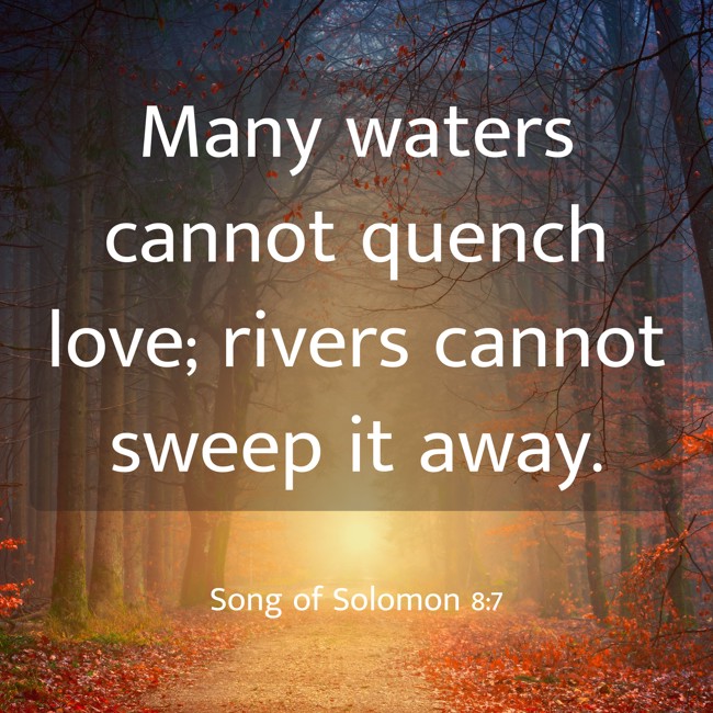 Many waters cannot quench love; rivers cannot sweep it away. - Song of Solomon 8:7