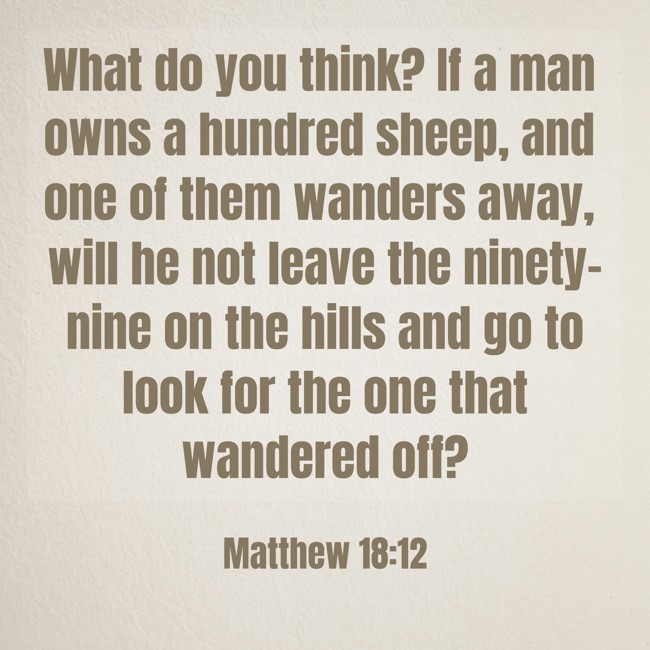 What do you think? If a man owns a hundred sheep, and one of them wanders away, will he not leave the ninety-nine on the hills and go to look for the one that wandered off? - Matthew 18:12