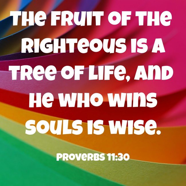 The fruit of the righteous is a tree of life, and he who wins souls is wise. - Proverbs 11:30