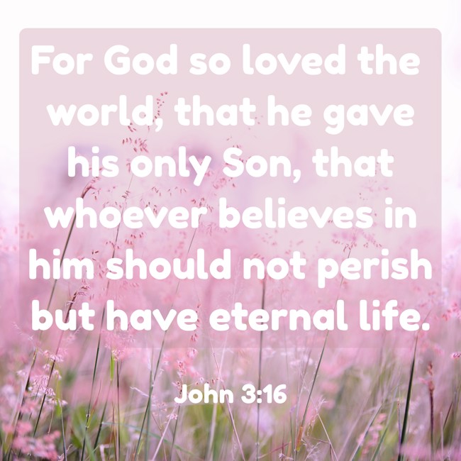 For God so loved the world, that he gave his only Son, that whoever believes in him should not perish but have eternal life. - John 3:16