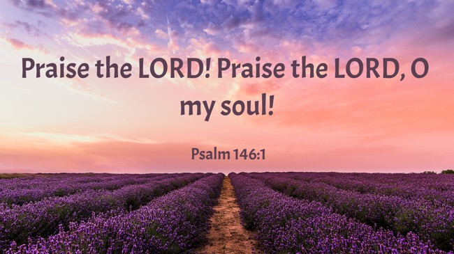 Praise the LORD! Praise the LORD, O my soul! - Psalm 146:1