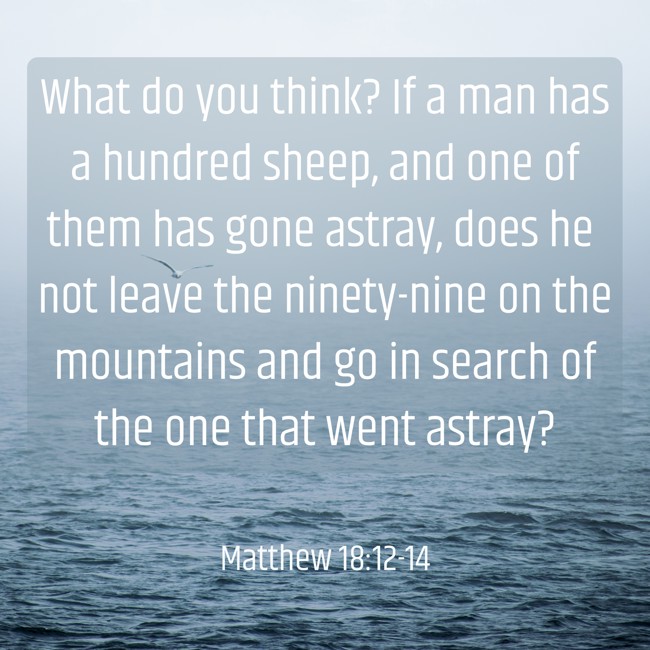What do you think? If a man has a hundred sheep, and one of them has gone astray, does he not leave the ninety-nine on the mountains and go in search of the one that went astray? - Matthew 18:12-14