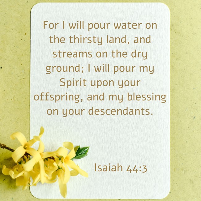For I will pour water on the thirsty land, and streams on the dry ground; I will pour my Spirit upon your offspring, and my blessing on your descendants. - Isaiah 44:3