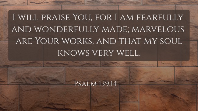 I will praise You, for I am fearfully and wonderfully made; marvelous are Your works, and that my soul knows very well. - Psalm 139:14