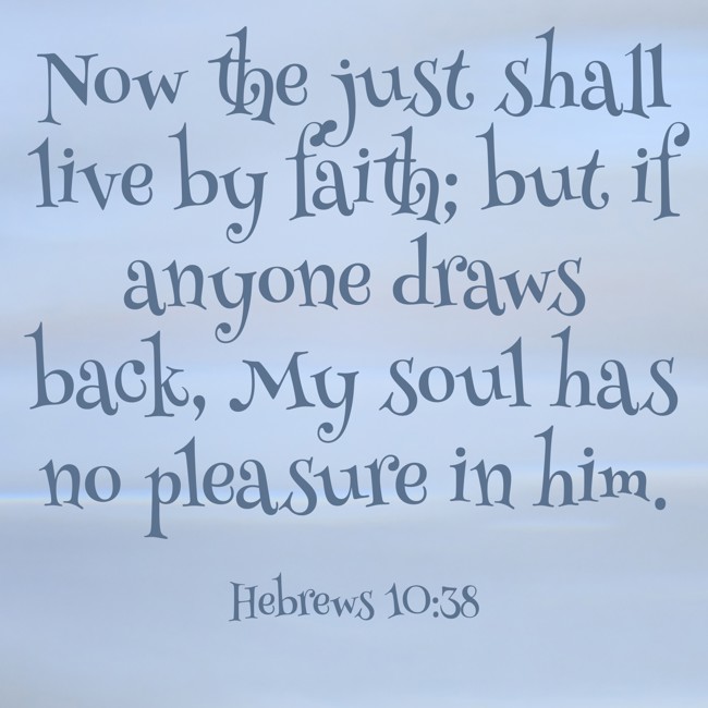 Now the just shall live by faith; but if anyone draws back, My soul has no pleasure in him. - Hebrews 10:38