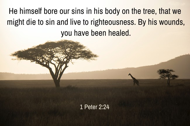 He himself bore our sins in his body on the tree, that we might die to sin and live to righteousness. By his wounds, you have been healed. - 1 Peter 2:24