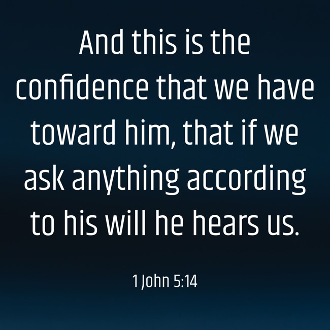 And this is the confidence that we have toward him, that if we ask anything according to his will he hears us. - 1 John 5:14