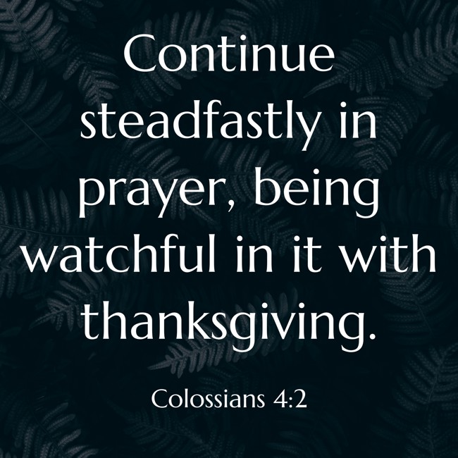 Continue steadfastly in prayer, being watchful in it with thanksgiving. - Colossians 4:2