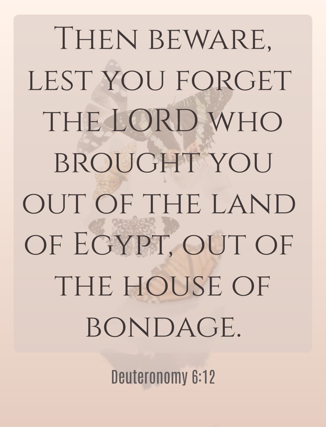 Then beware, lest you forget the LORD who brought you out of the land of Egypt, out of the house of bondage. - Deuteronomy 6:12