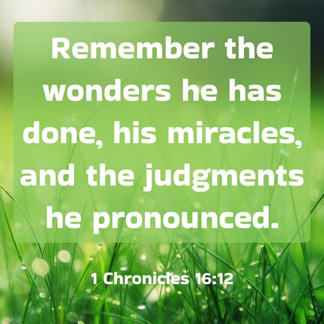 Remember the wonders he has done, his miracles, and the judgments he pronounced. - 1 Chronicles 16:12