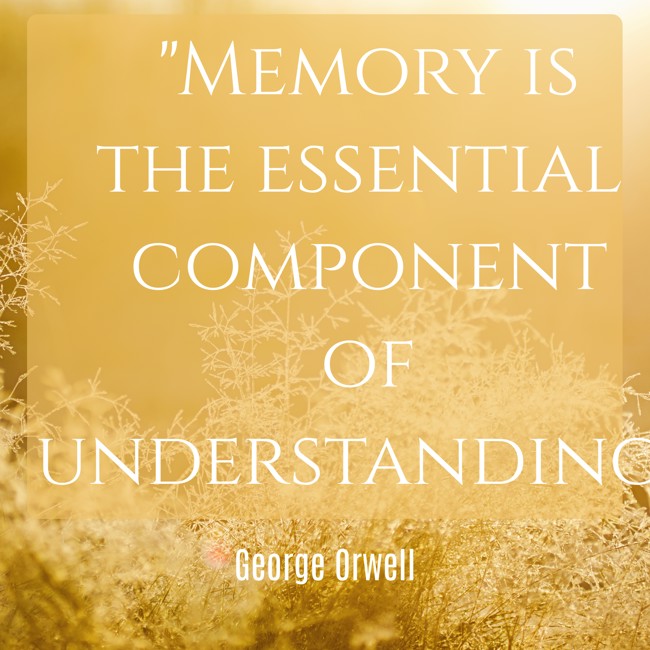 Memory is the essential component of understanding. - George Orwell