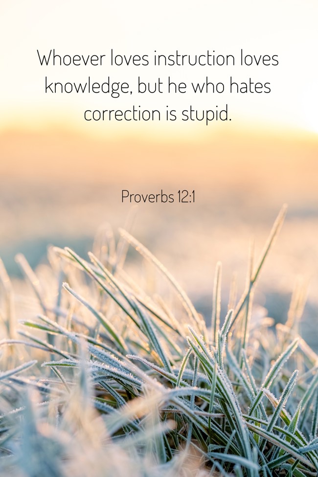 Whoever loves instruction loves knowledge, but he who hates correction is stupid. - Proverbs 12:1